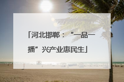 河北邯郸：“一品一播”兴产业惠民生
