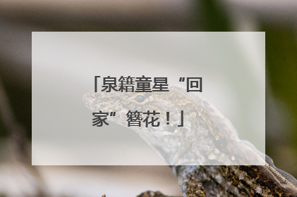 泉籍童星“回家”簪花！