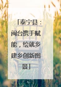 泰宁县：闽台携手赋能，绘就乡建乡创新图景