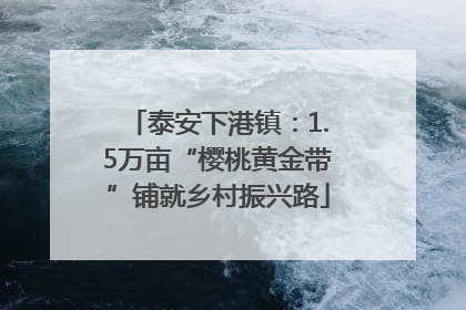 泰安下港镇：1.5万亩“樱桃黄金带”铺就乡村振兴路