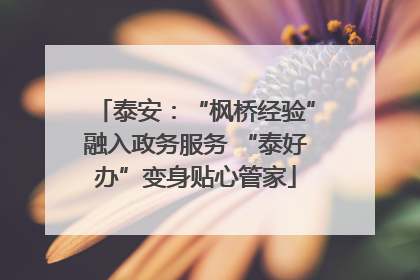 泰安：“枫桥经验”融入政务服务 “泰好办”变身贴心管家