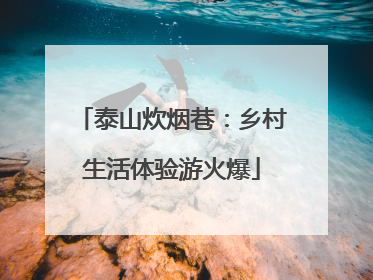 泰山炊烟巷：乡村生活体验游火爆