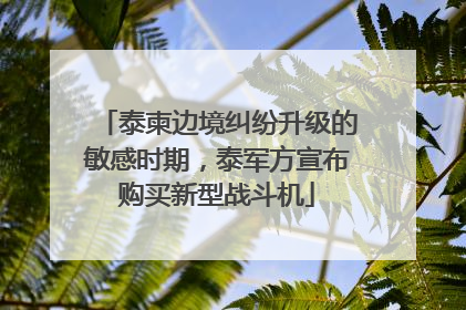 泰柬边境纠纷升级的敏感时期，泰军方宣布购买新型战斗机