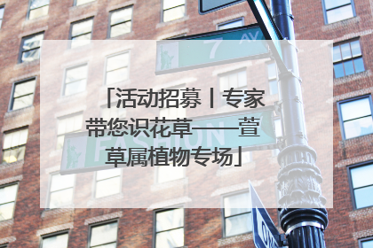 活动招募丨专家带您识花草——萱草属植物专场