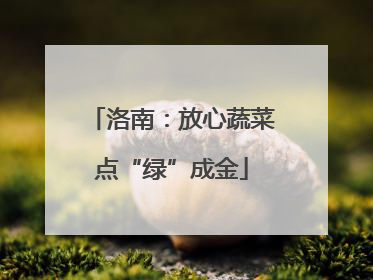 洛南：放心蔬菜点“绿”成金