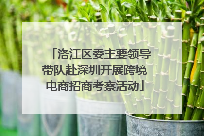 洛江区委主要领导带队赴深圳开展跨境电商招商考察活动