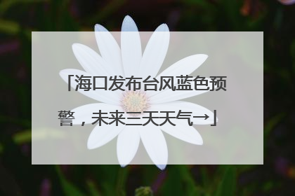 海口发布台风蓝色预警，未来三天天气→