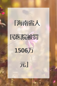 海南省人民医院被罚1506万元