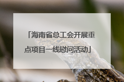 海南省总工会开展重点项目一线慰问活动