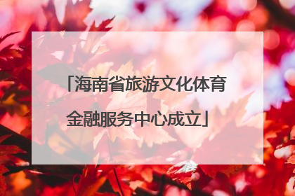 海南省旅游文化体育金融服务中心成立