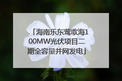 海南乐东莺歌海100MW光伏项目二期全容量并网发电