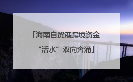 海南自贸港跨境资金“活水”双向奔涌
