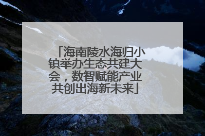 海南陵水海归小镇举办生态共建大会，数智赋能产业共创出海新未来