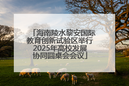 海南陵水黎安国际教育创新试验区举行2025年高校发展协同圆桌会会议