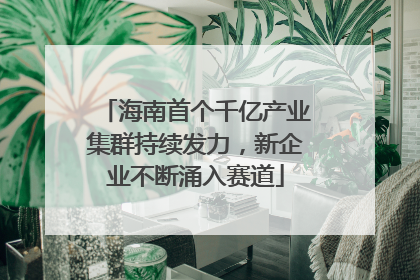 海南首个千亿产业集群持续发力，新企业不断涌入赛道