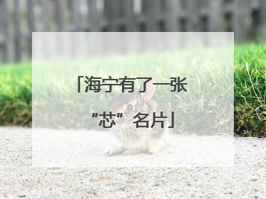 海宁有了一张“芯”名片