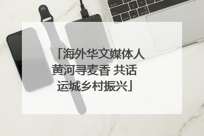 海外华文媒体人黄河寻麦香 共话运城乡村振兴