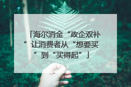海尔消金“政企双补”让消费者从“想要买”到“买得起”