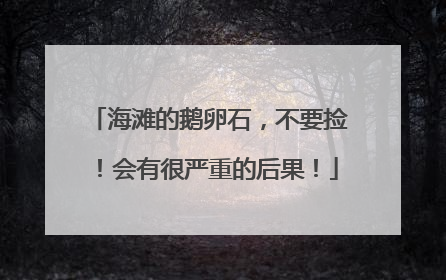 海滩的鹅卵石，不要捡！会有很严重的后果！