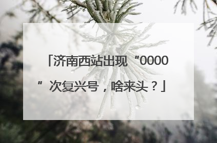 济南西站出现“0000”次复兴号，啥来头？