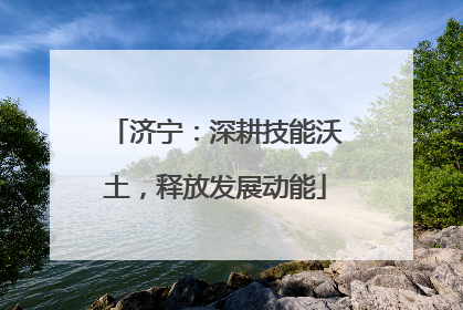 济宁：深耕技能沃土，释放发展动能