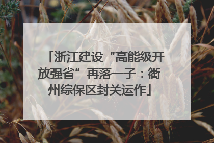 浙江建设“高能级开放强省”再落一子：衢州综保区封关运作