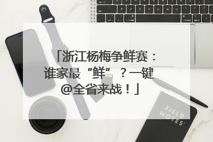 浙江杨梅争鲜赛：谁家最“鲜”？一键@全省来战！