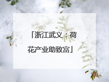 浙江武义：荷花产业助致富