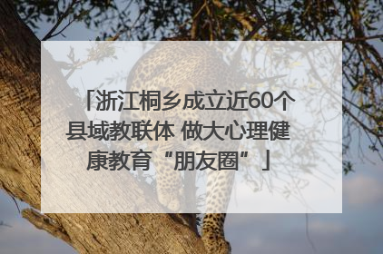 浙江桐乡成立近60个县域教联体 做大心理健康教育“朋友圈”