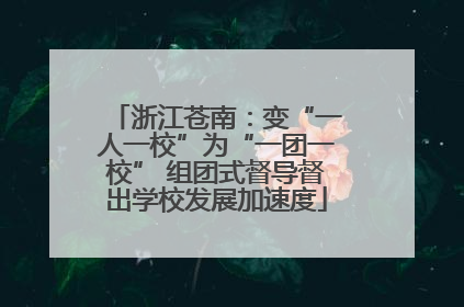 浙江苍南：变“一人一校”为“一团一校” 组团式督导督出学校发展加速度