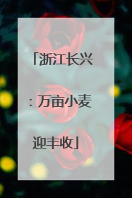 浙江长兴：万亩小麦迎丰收