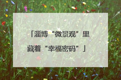 淄博“微景观”里藏着“幸福密码”