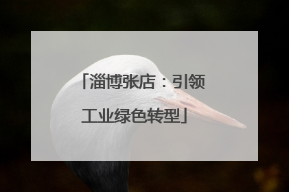 淄博张店：引领工业绿色转型