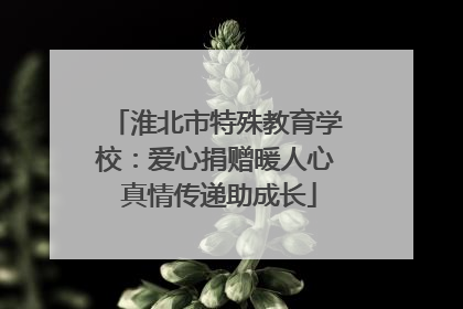 淮北市特殊教育学校：爱心捐赠暖人心 真情传递助成长