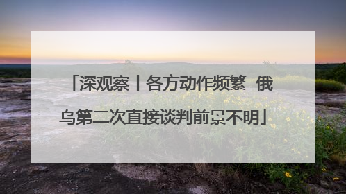 深观察丨各方动作频繁  俄乌第二次直接谈判前景不明