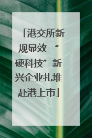 港交所新规显效 “硬科技”新兴企业扎堆赴港上市