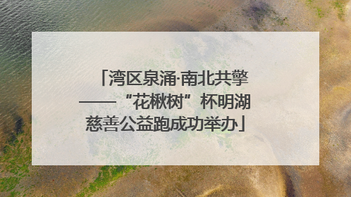 湾区泉涌·南北共擎——“花楸树”杯明湖慈善公益跑成功举办