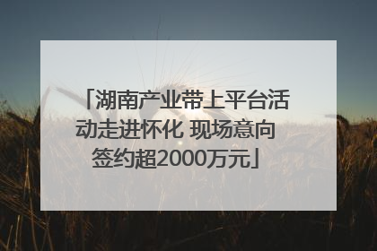 湖南产业带上平台活动走进怀化 现场意向签约超2000万元