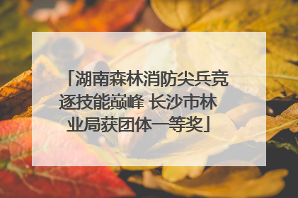 湖南森林消防尖兵竞逐技能巅峰 长沙市林业局获团体一等奖