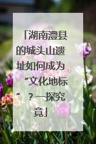 湖南澧县的城头山遗址如何成为“文化地标”？一探究竟