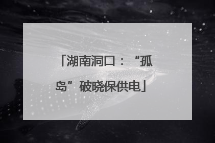 湖南洞口：“孤岛”破晓保供电