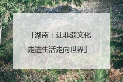 湖南：让非遗文化走进生活走向世界