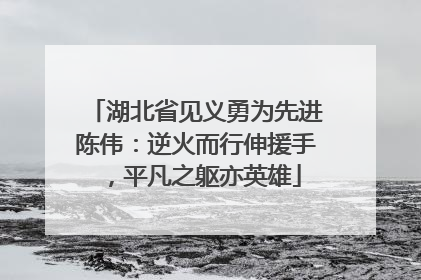 湖北省见义勇为先进陈伟：逆火而行伸援手，平凡之躯亦英雄