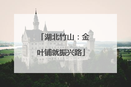 湖北竹山：金叶铺就振兴路