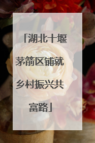 湖北十堰茅箭区铺就乡村振兴共富路