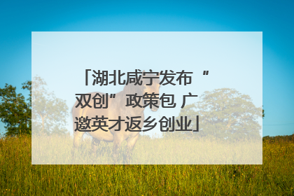湖北咸宁发布“双创”政策包 广邀英才返乡创业