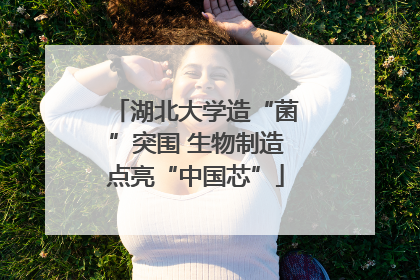 湖北大学造“菌”突围 生物制造点亮“中国芯”