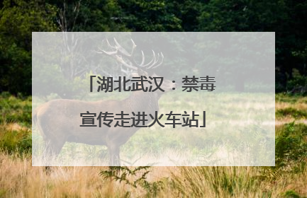 湖北武汉：禁毒宣传走进火车站
