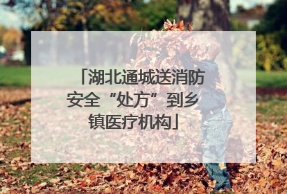 湖北通城送消防安全“处方”到乡镇医疗机构