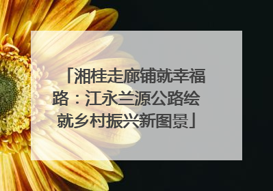 湘桂走廊铺就幸福路：江永兰源公路绘就乡村振兴新图景
